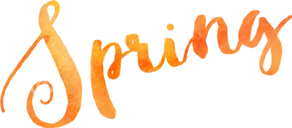 tube png texte logo Word-Art